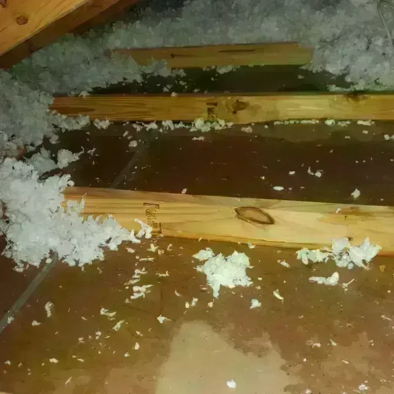 Attic Water Damage in Union Gap, WA